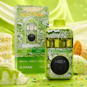 Birthday Cake x Ice Cream Cake, 9g